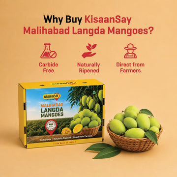 Malihabad Langda Mango
