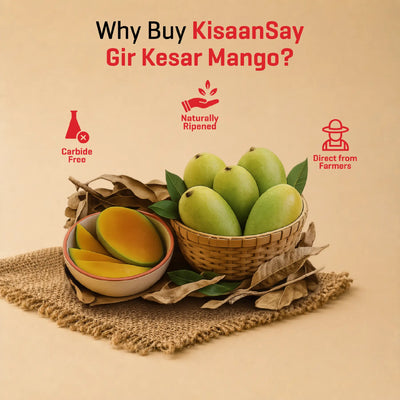 Gir Kesar Mango
