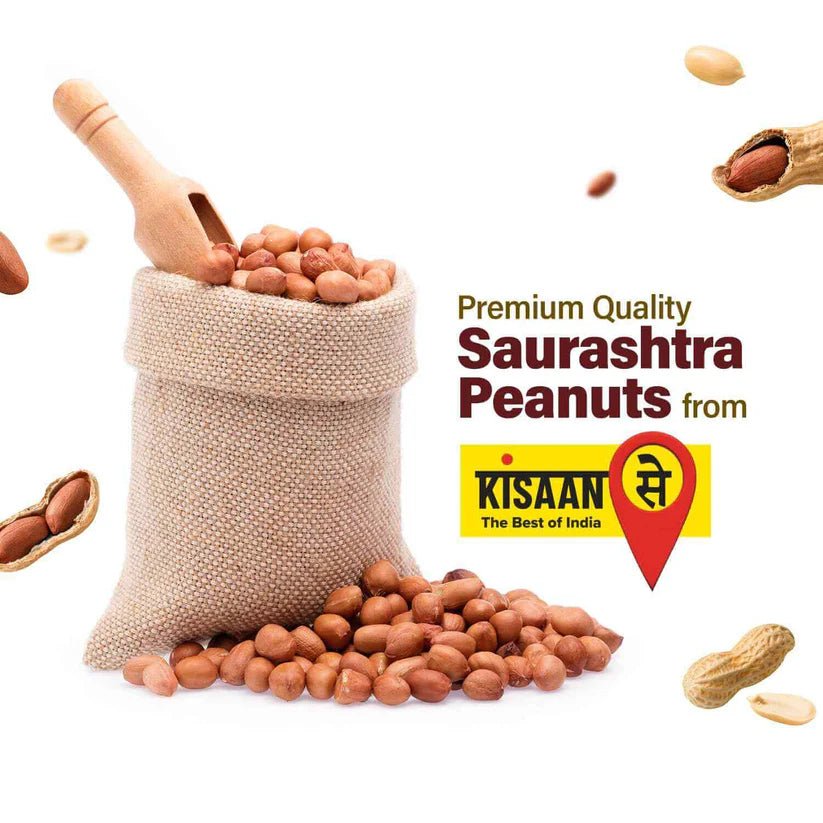 Saurashtra Peanuts - KisaanSay