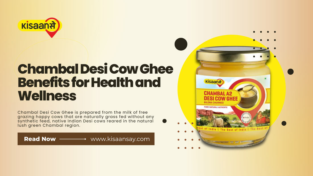 Chambal Desi Cow Ghee Benefits for Health and Wellness