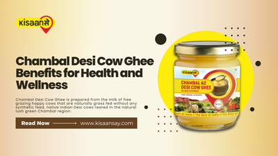 Chambal Desi Cow Ghee Benefits for Health and Wellness