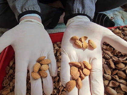 KisaanSay gallery image