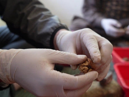 KisaanSay gallery image