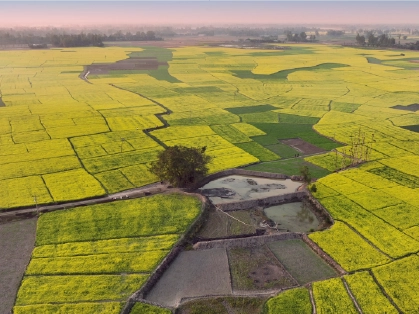 KisaanSay gallery image