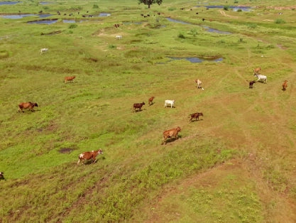 KisaanSay gallery image