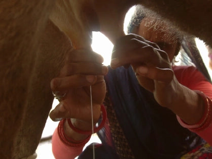 KisaanSay gallery image