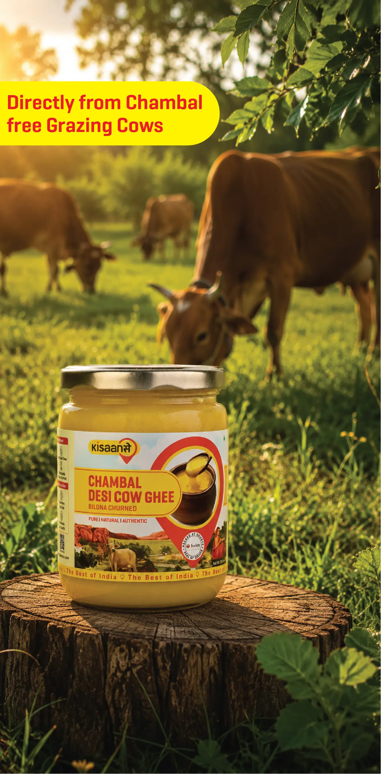 Grass-Fed Cow Ghee: A Healthier Choice for Indian Homes