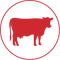 Free Grazing Desi Cows