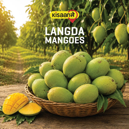 Malihabad Langda Mango