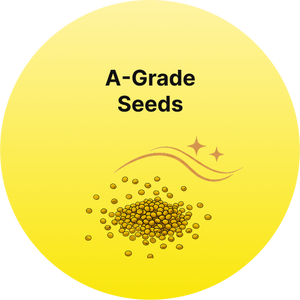 Product USP Icon 3