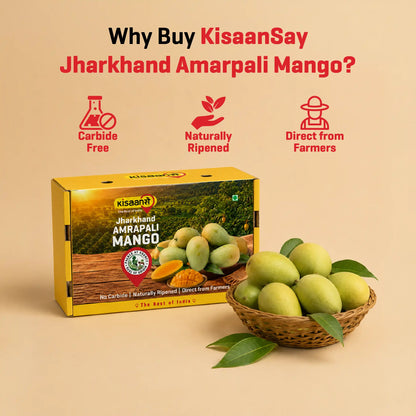 Jharkhand Amrapali Mango