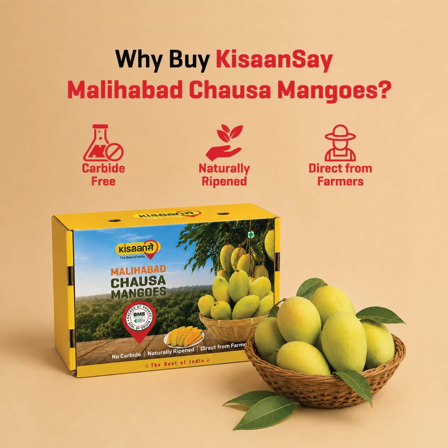 Malihabad Chausa Mango