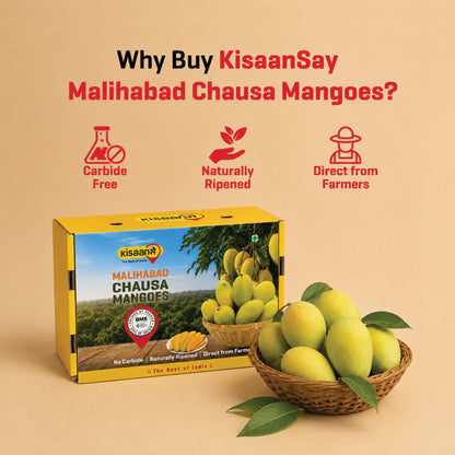 Malihabad Chausa Mango