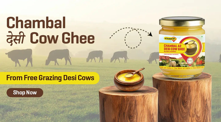 CowGhee
