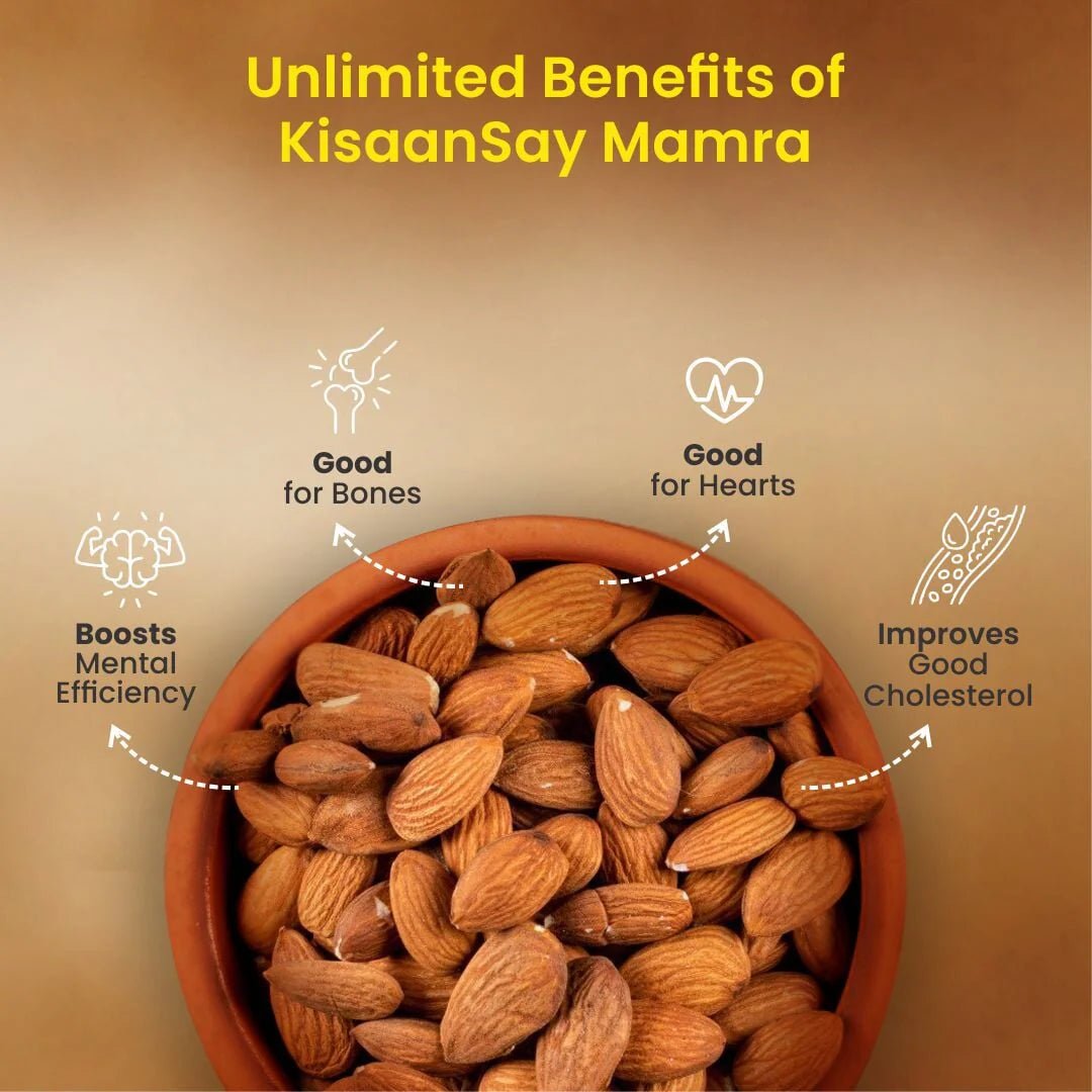 Kashmiri Mamra | 50 % More Oil | High MUFA PUFA | Unpolished & Unprocessed | 100 % Natural - KisaanSay