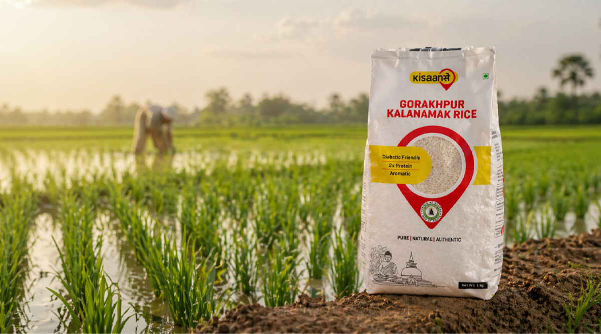 Long Rice Gi Tag Buy Kalanamak Rice GI Tag Certified Online | Authentic Black Rice ...