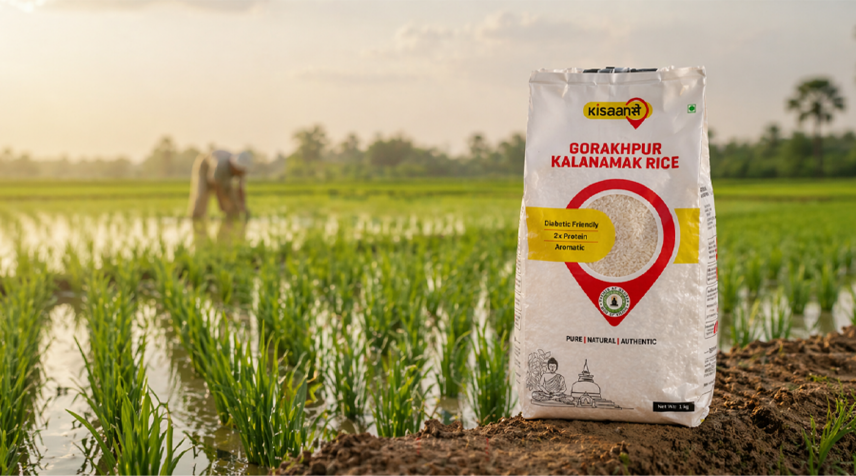 Kalanamak Rice GI Tag