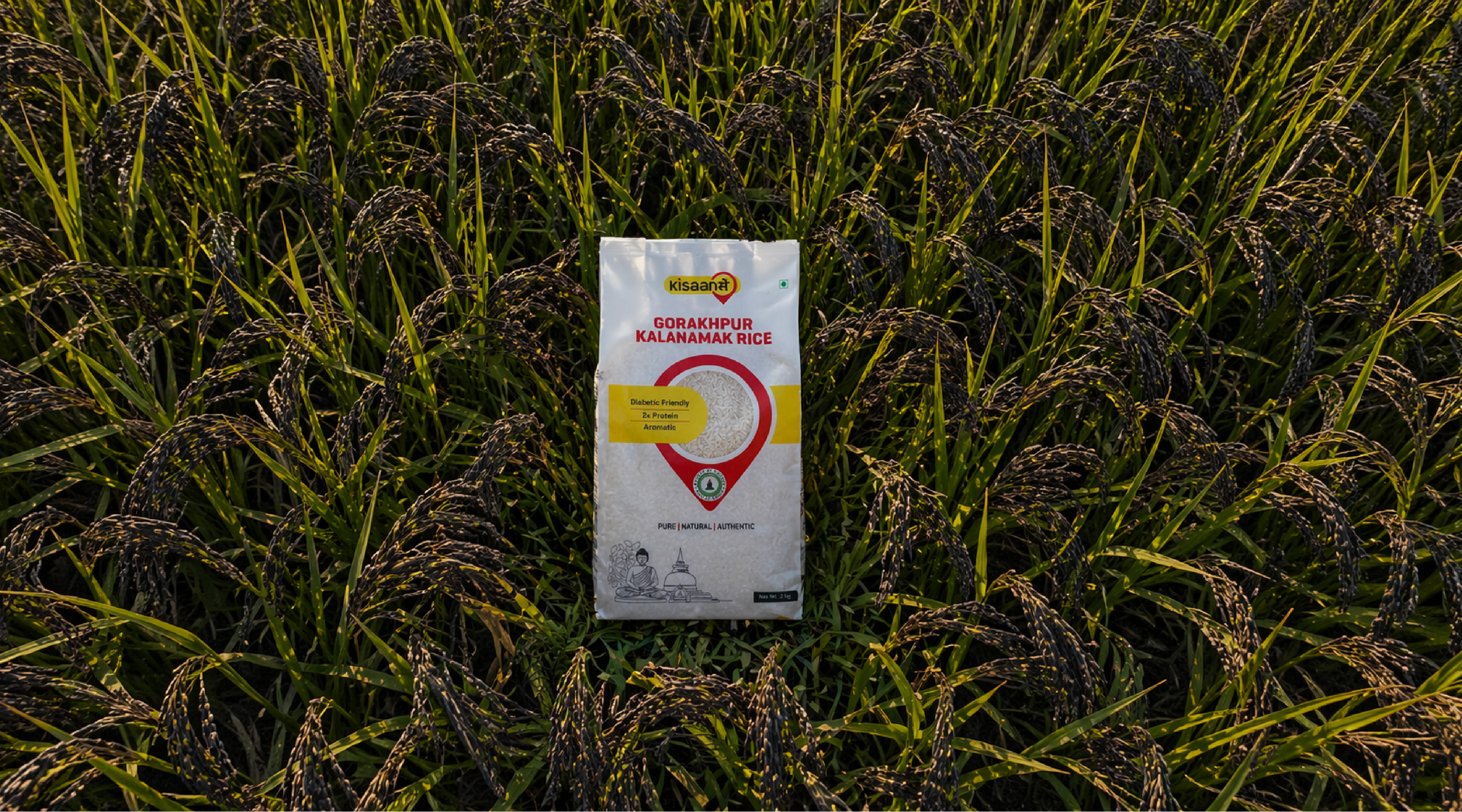 Kalanamak Rice Paddy Seeds
