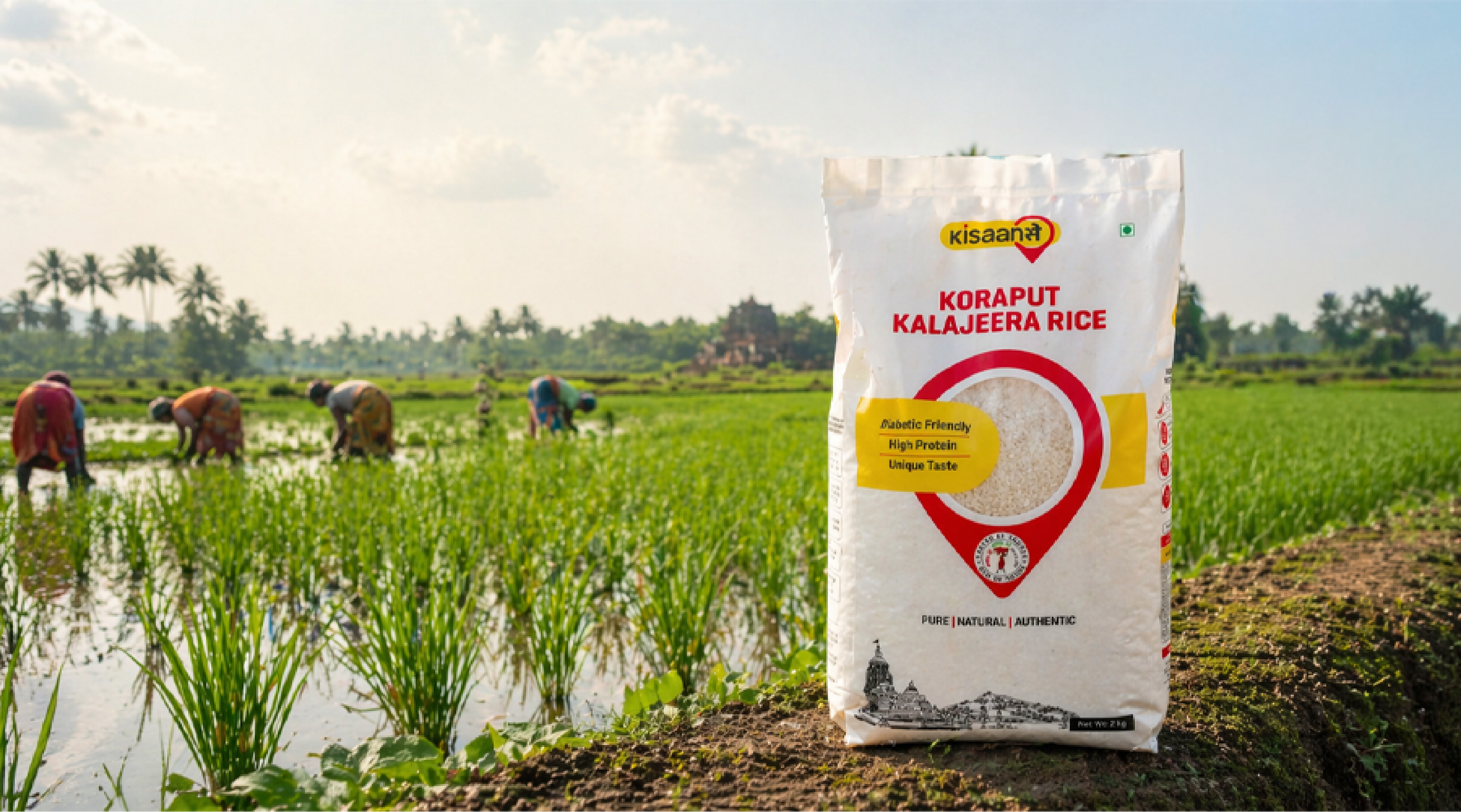 Kalajeera rice