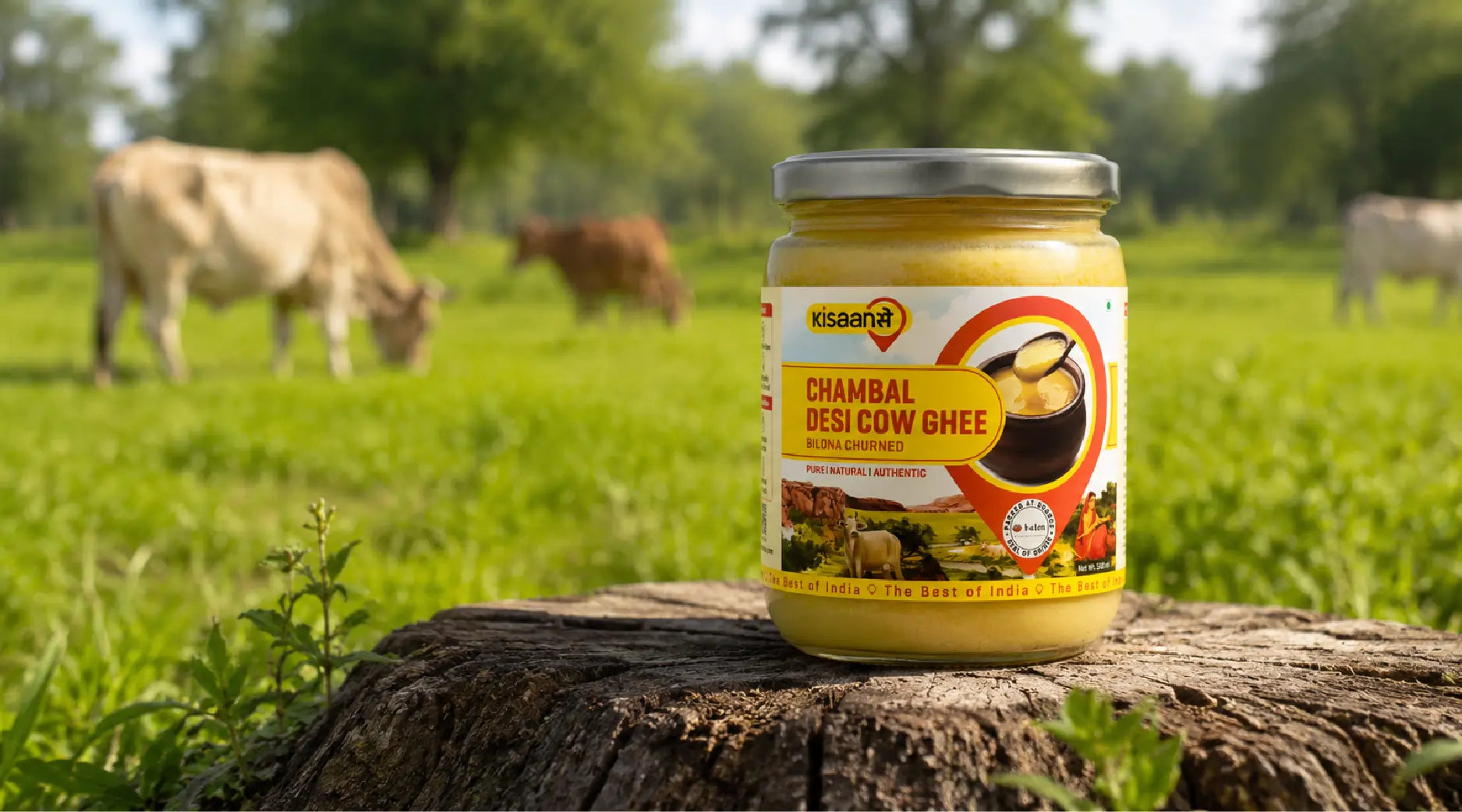 Ghee in Ayurveda: Why It’s More Than Just a Cooking Ingredient