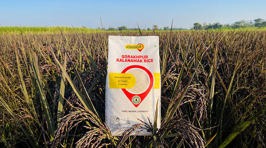 Gorakhpur Kalanamak Rice