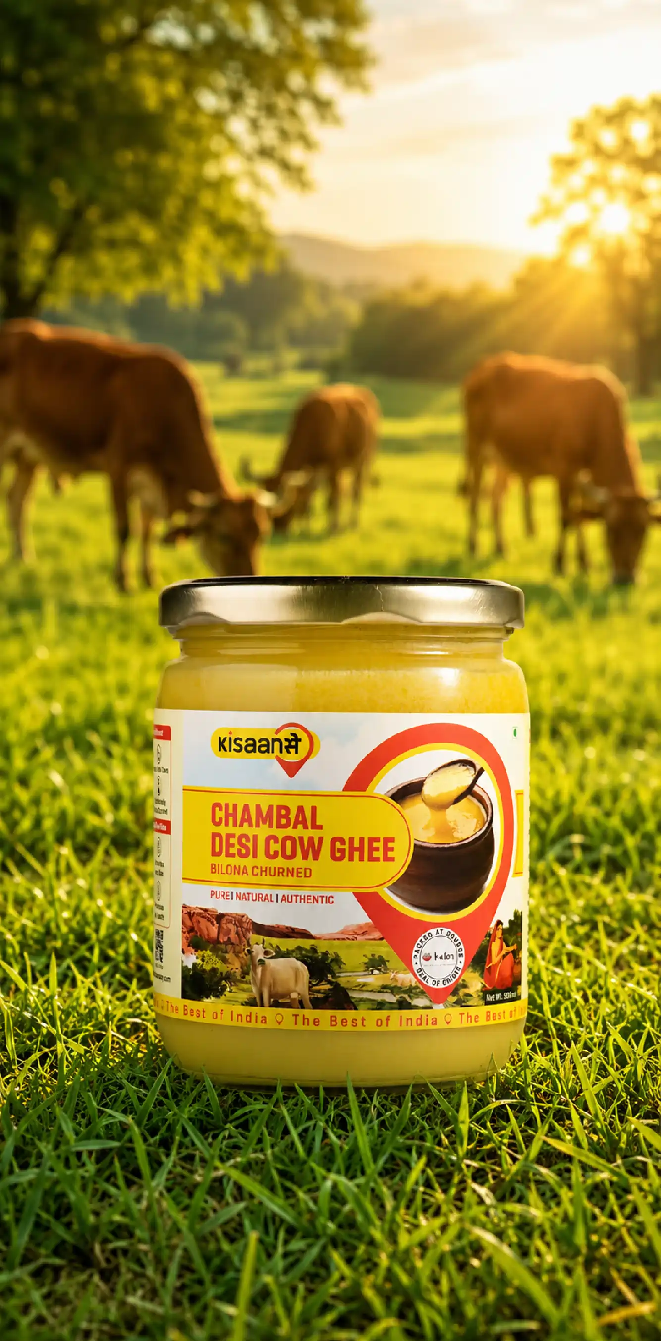 Ghee in Ayurveda: Why It’s More Than Just a Cooking Ingredient