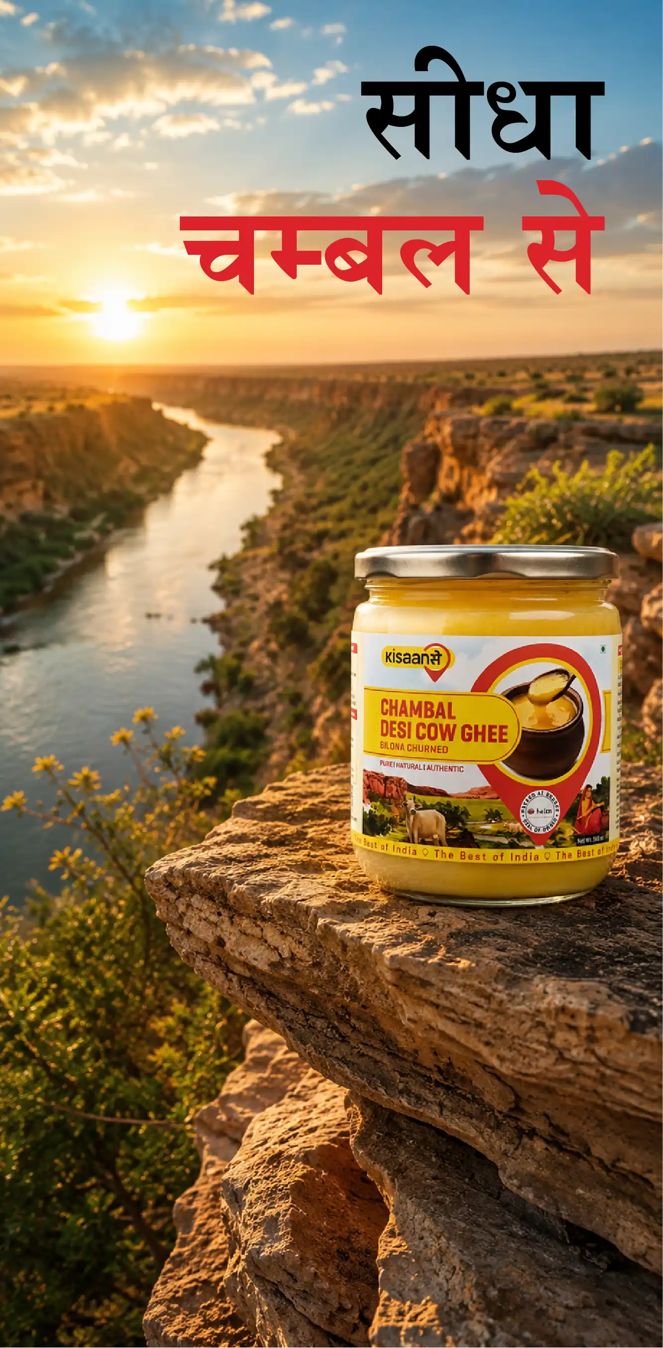 Bilona Ghee vs Regular Ghee: What Makes It Different?