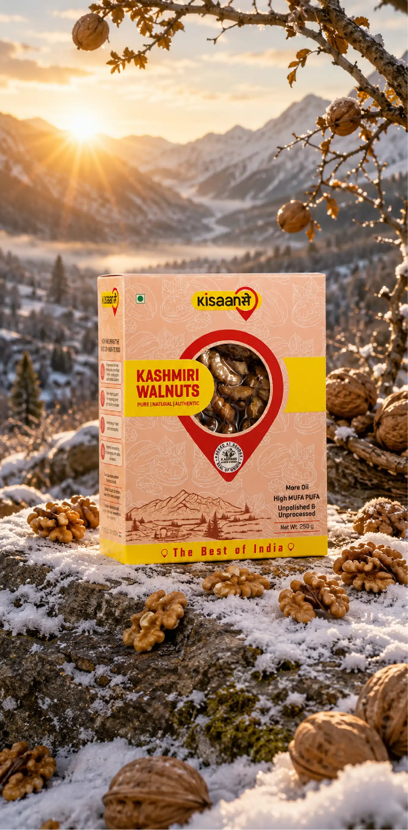 Kashmiri Walnut – Introduction, Benefits & USPs