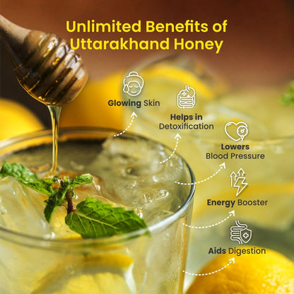 Uttarakhand Honey | Direct from Himalayan Corbett & Rajaji forest environs | 100% Pure & Tested | No Added Sugar - KisaanSay